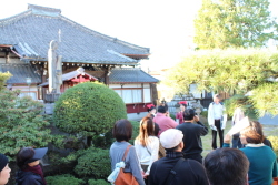 大円寺の見学